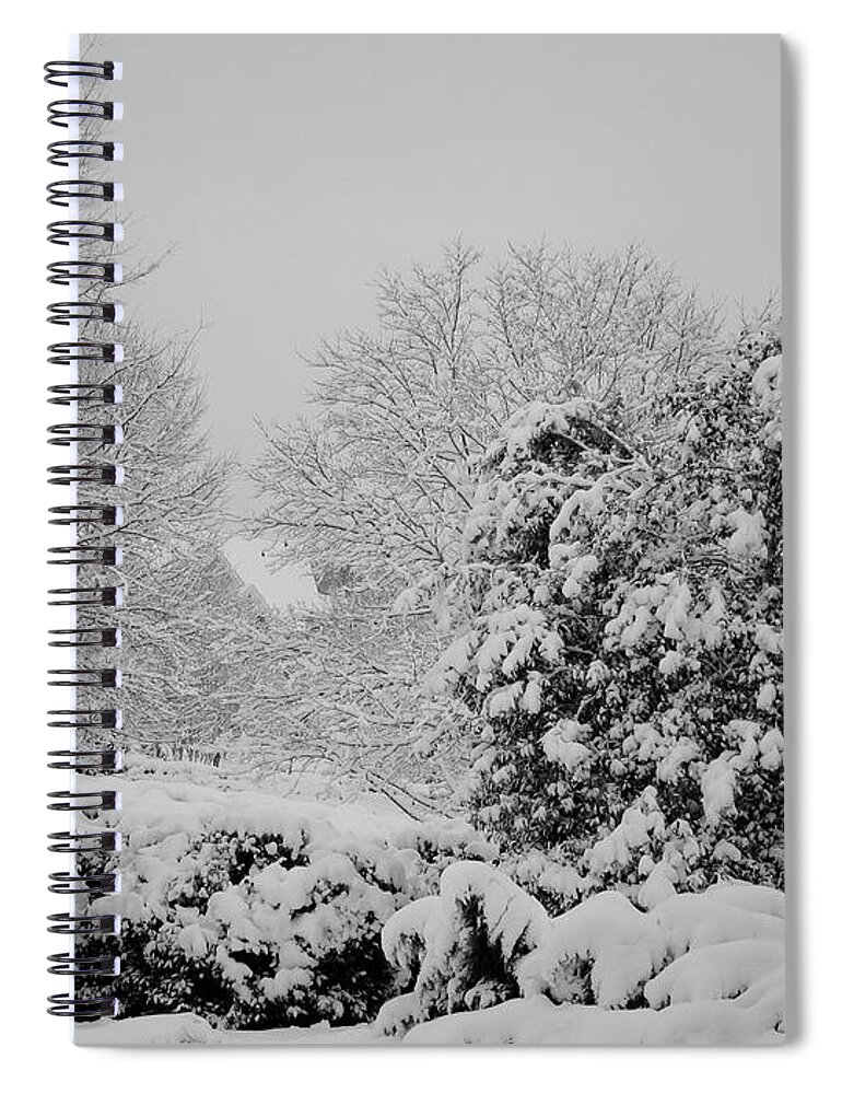 Landscape Spiral Notebook featuring the photograph Winter Wonderland by Carol Whaley Addassi
