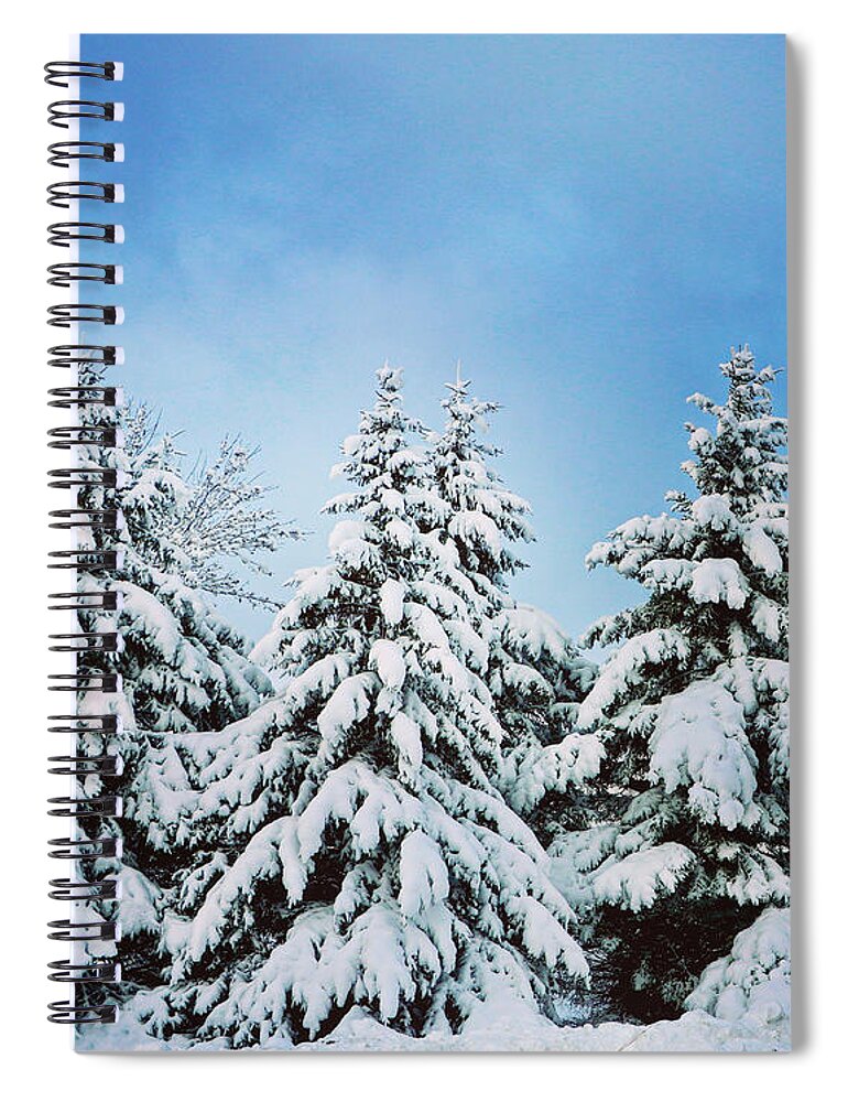 Winter Spiral Notebook featuring the photograph Winter Wonderland by Sarah Lilja