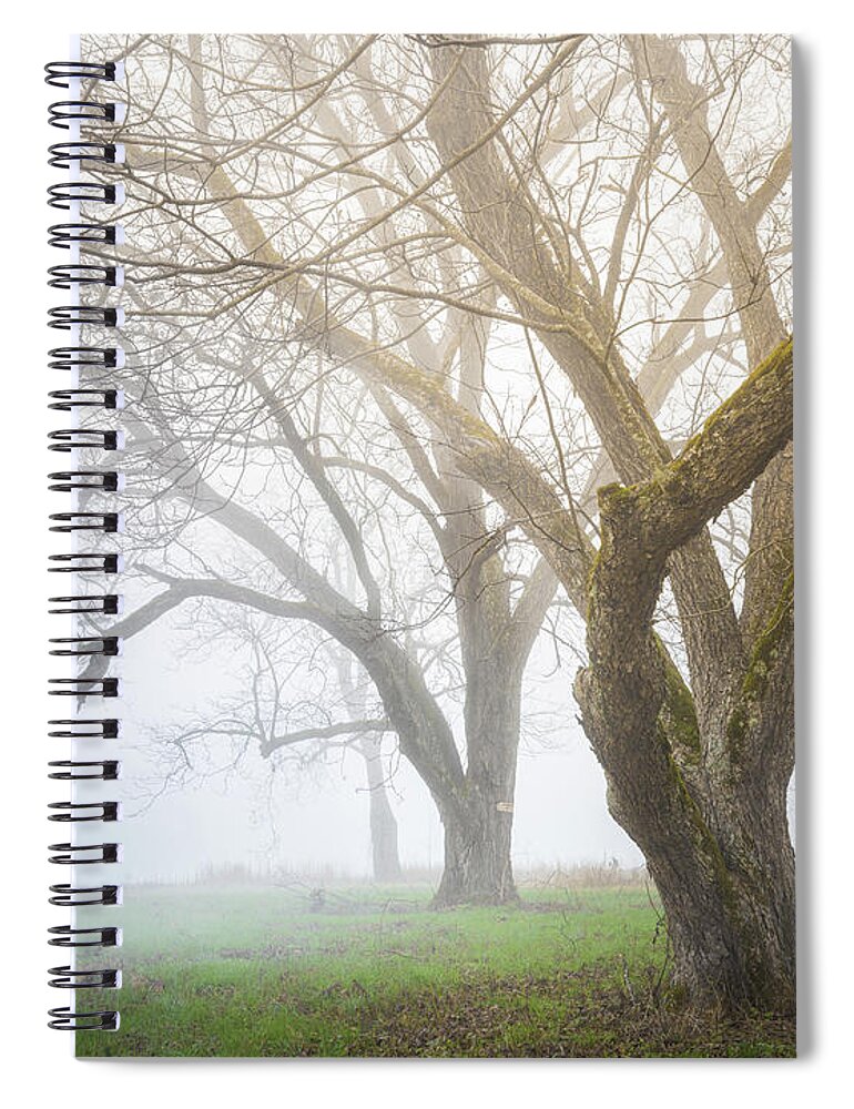 Trees Spiral Notebook featuring the photograph Winter Woodland In Fog by Jordan Hill