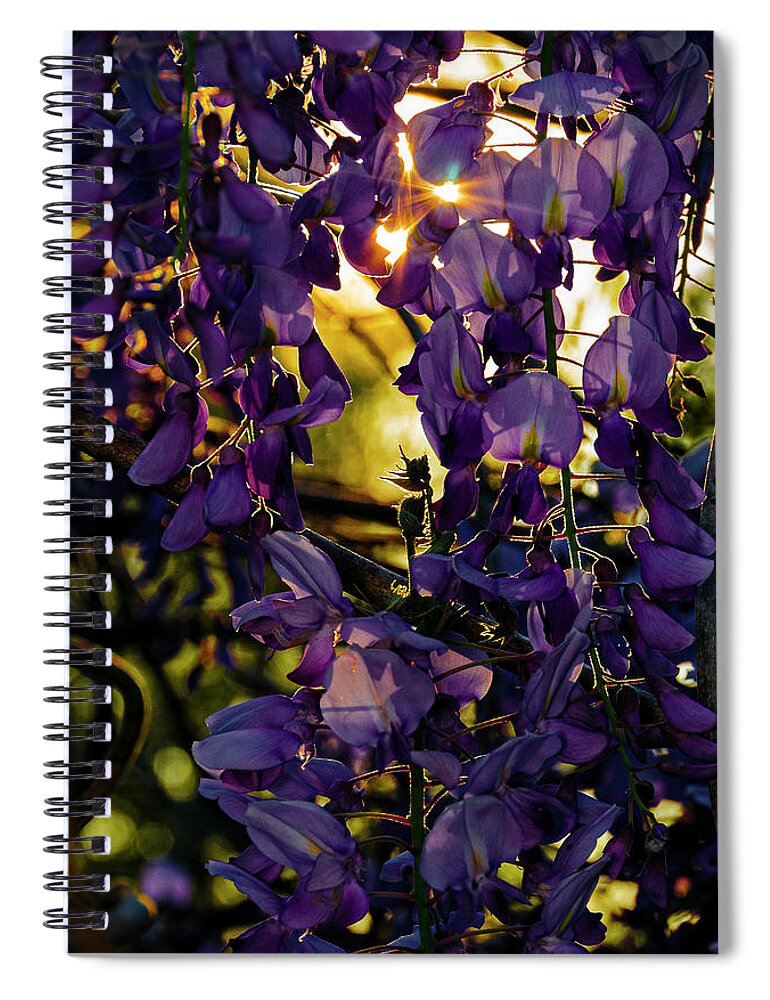 Wisteria Spiral Notebook featuring the photograph Wisteria in Silhouette by Greg Reed