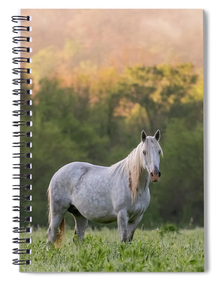 Wild Horse Spiral Notebook featuring the photograph With the Spirit of the Wild by Holly Ross