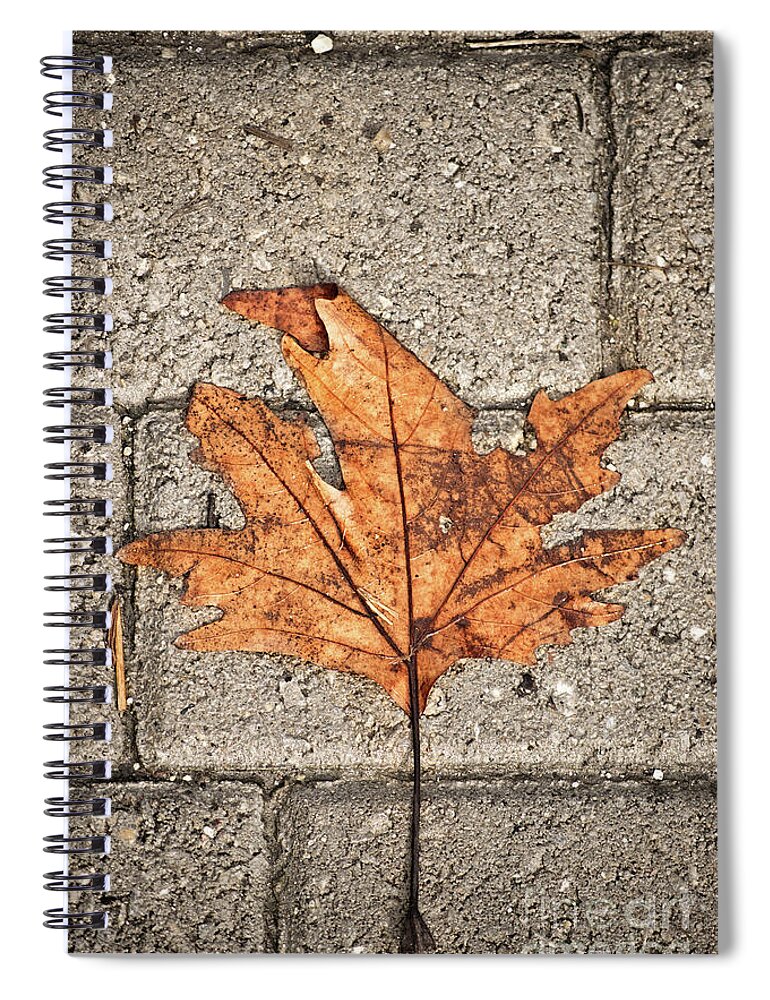 Leaf Spiral Notebook featuring the photograph Withered leaf over concrete blocks by Mendelex Photography