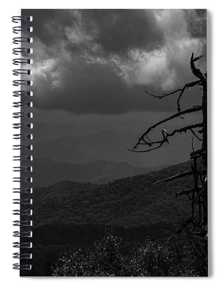 Black And White Spiral Notebook featuring the photograph Withered on the Mountain by Jamie Tyler