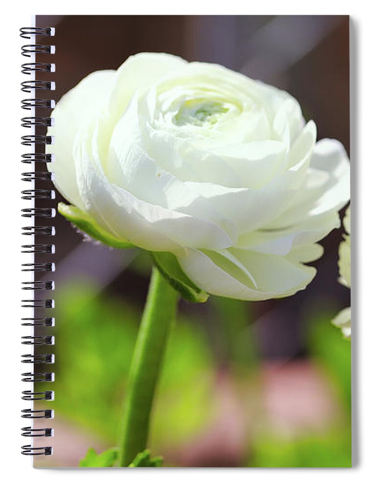 White Color Spiral Notebook featuring the photograph Wonderful White by Scott Burd