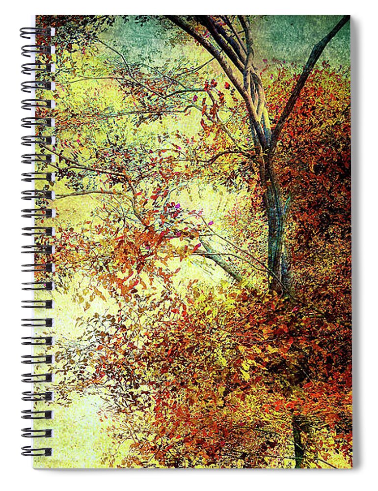 Landscape Spiral Notebook featuring the photograph Wondering by Bob Orsillo