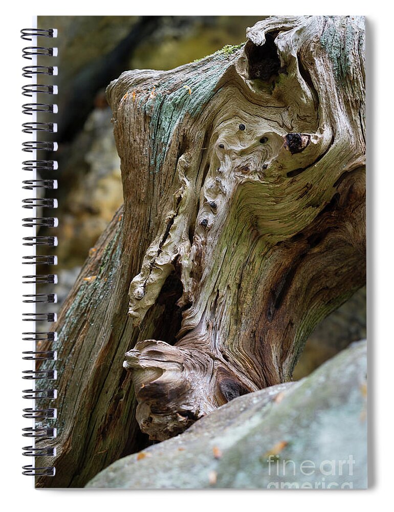 Wood Spiral Notebook featuring the photograph Wood and sandstone unite 2 by Adriana Mueller