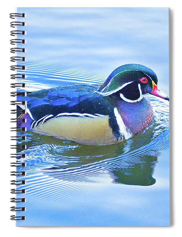 Water Fowl Spiral Notebook featuring the photograph Wood Duck by Allan Van Gasbeck