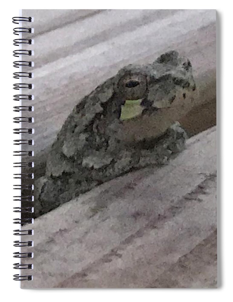 Wood Frog Spiral Notebook featuring the photograph Back Porch Wood Frog Lateral by Mary Kobet