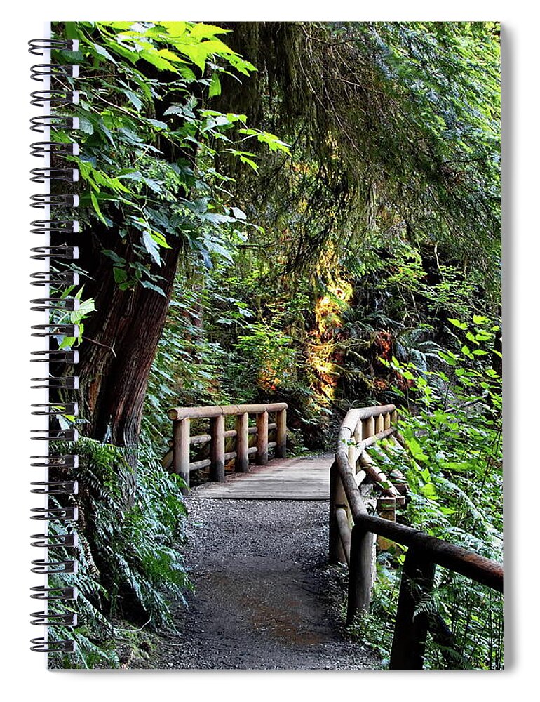Alex Lyubar Spiral Notebook featuring the photograph Wooden bridge on a firest hiking trail by Alex Lyubar