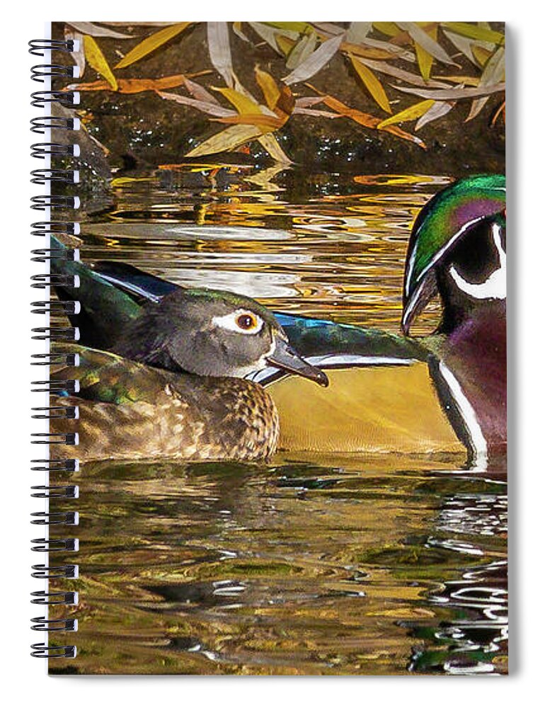 Boise Idaho Spiral Notebook featuring the photograph Woodie Pair by Mark Mille