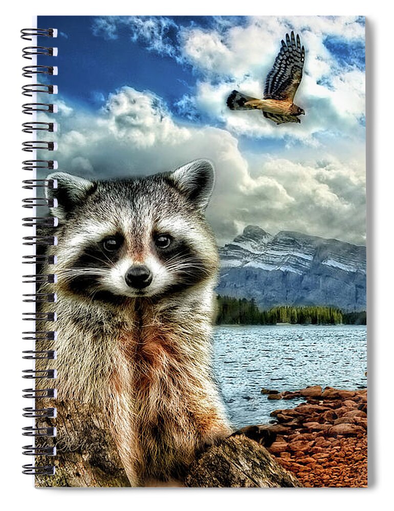 Woodland Creatures Spiral Notebook featuring the photograph Woodland Creatures by Doreen Erhardt