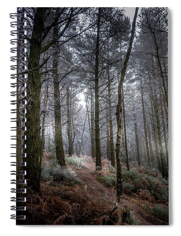 Woodland Spiral Notebook featuring the photograph Woodland Light by Chris Boulton