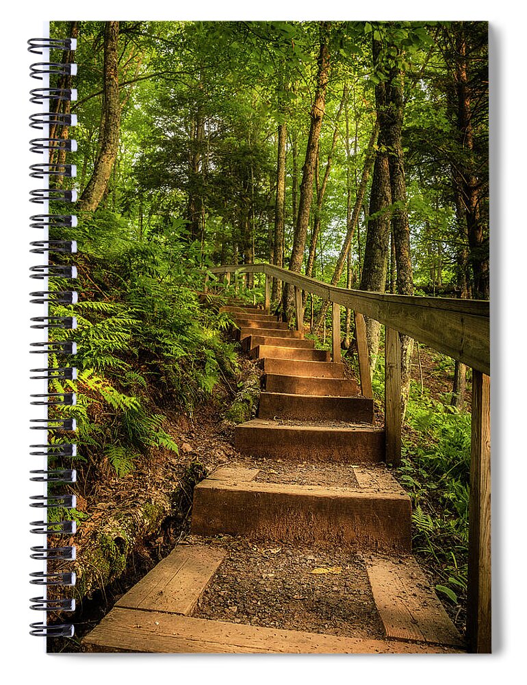 Forest Spiral Notebook featuring the photograph Woodland Staircase by Nate Brack
