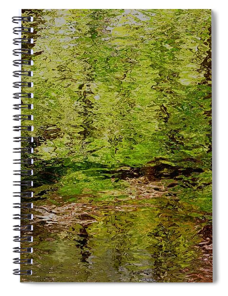 Woods Woodland Stream Creek Abstract Spiral Notebook featuring the digital art Woodland Stream by Bob Shimer