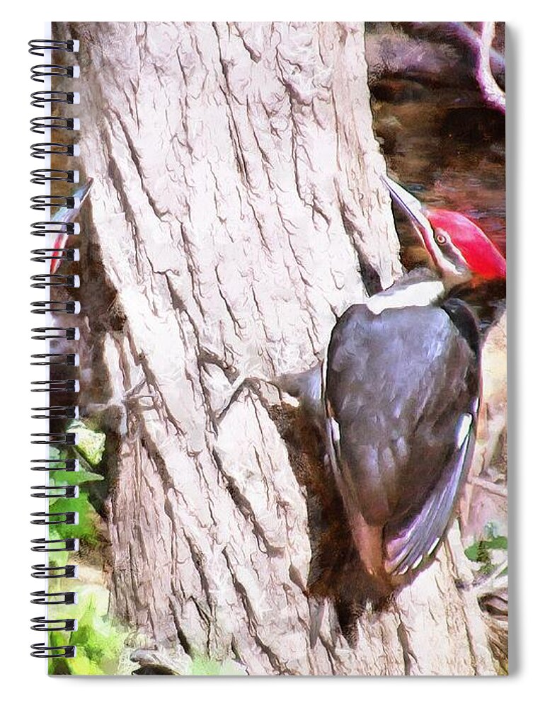 Woodpeckers Spiral Notebook featuring the mixed media Woodpeckers by the Stream by Christopher Reed