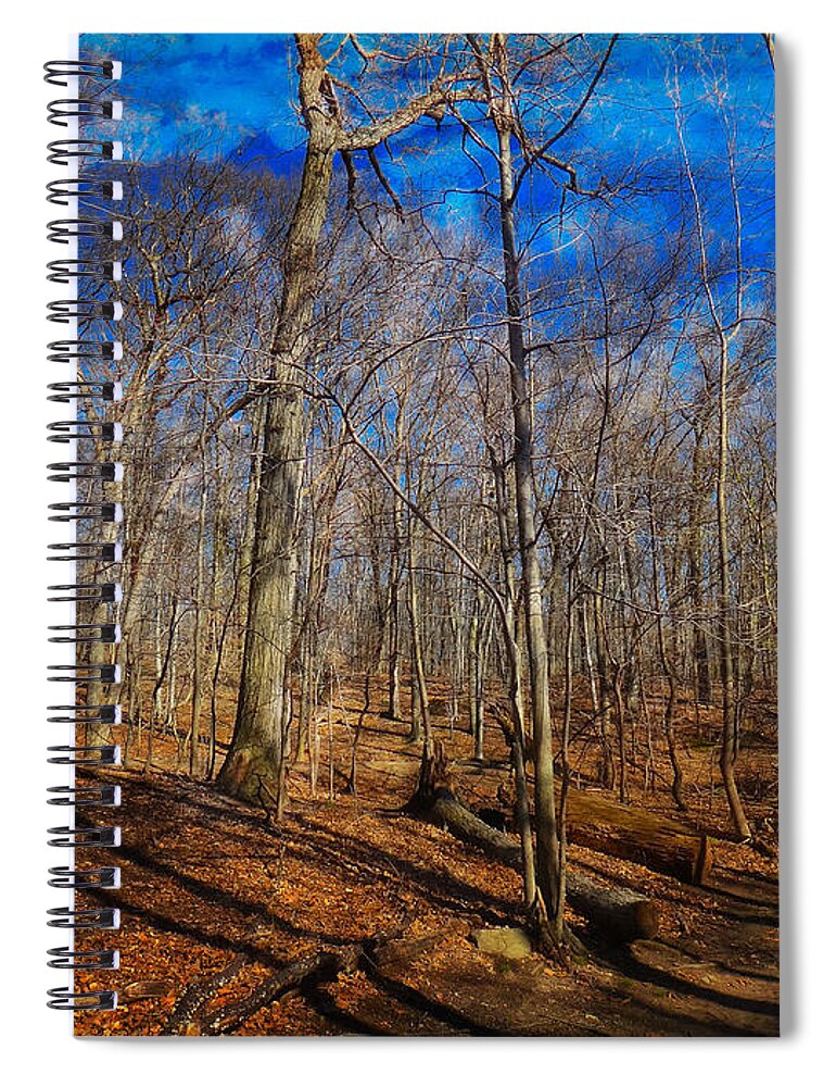 Woods Spiral Notebook featuring the digital art Woods with Deep Blue Sky by Russ Considine