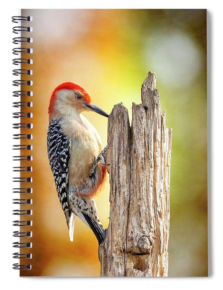 Woodpecker Spiral Notebook featuring the photograph Woody At Work by Bill and Linda Tiepelman