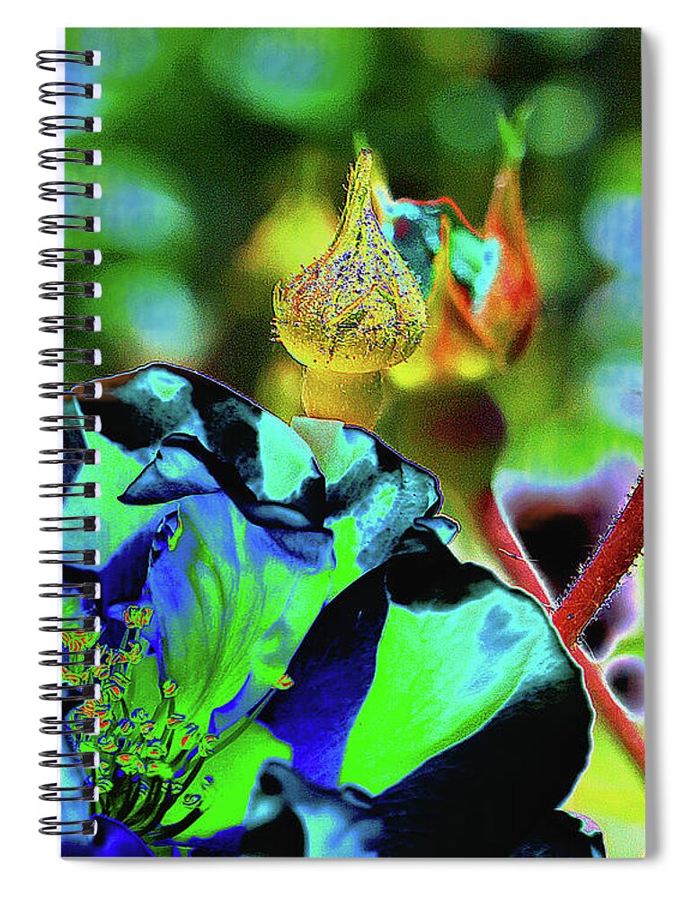 Rose Spiral Notebook featuring the digital art Wow Rose by Nancy Olivia Hoffmann