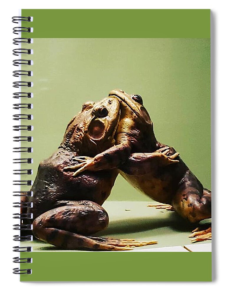 Hug Spiral Notebook featuring the photograph Wrestling Hugging Frogs by Vicki Noble
