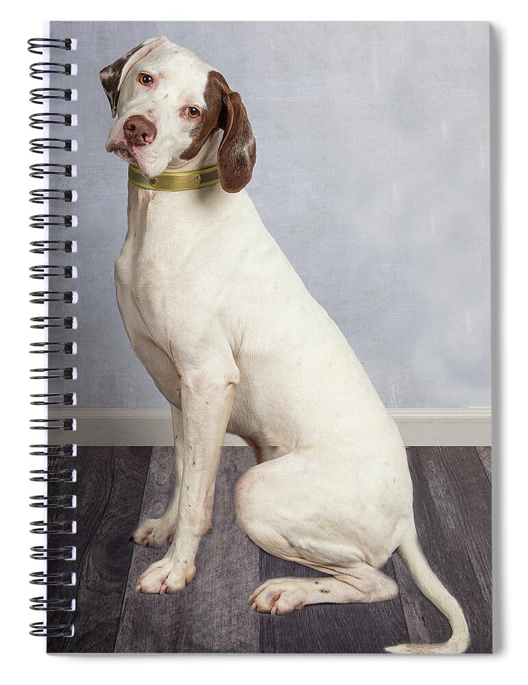 January2020 Spiral Notebook featuring the photograph Wyatt Sitting 1 by Rebecca Cozart