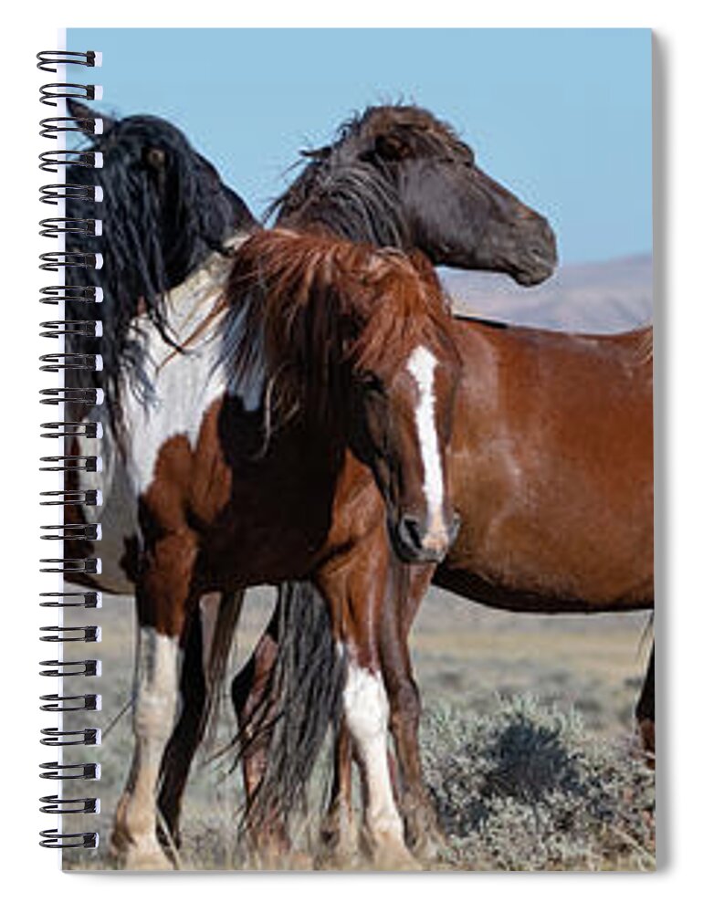 Wild Horses Spiral Notebook featuring the photograph Wyoming Wild by Mary Hone