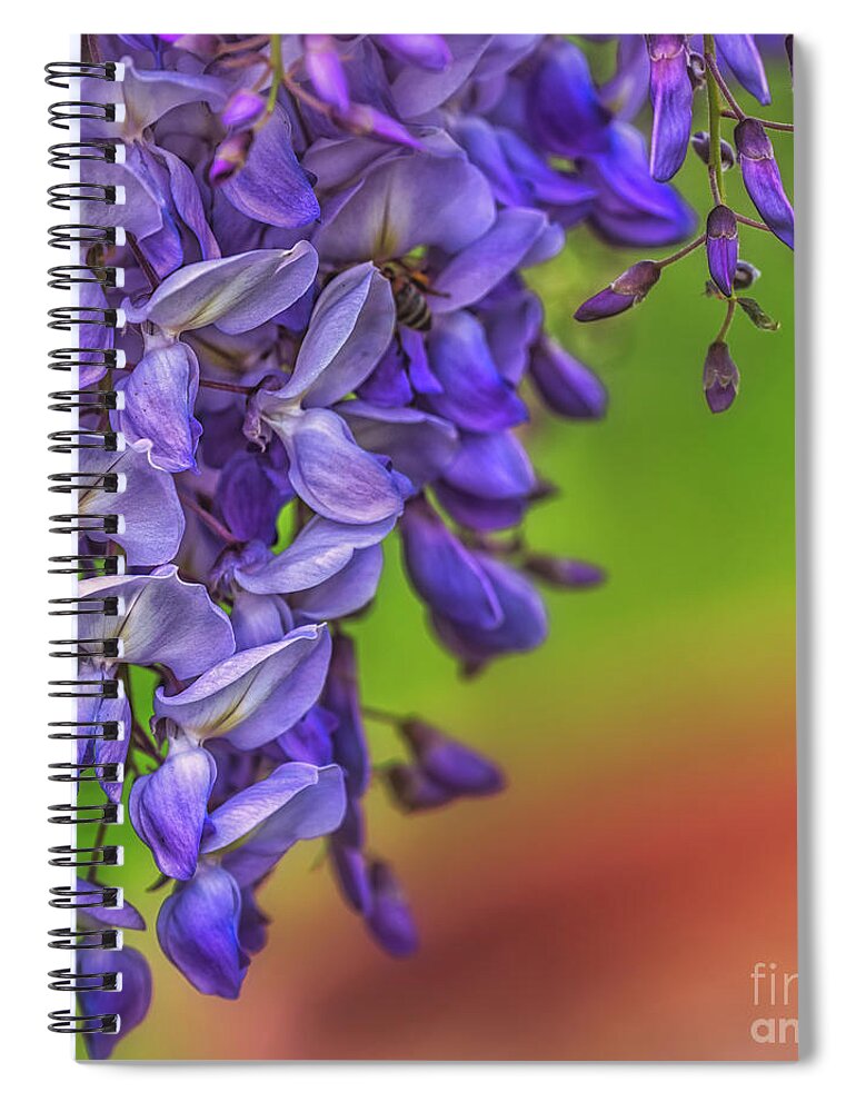 Nature Spiral Notebook featuring the photograph Wysteria by The P