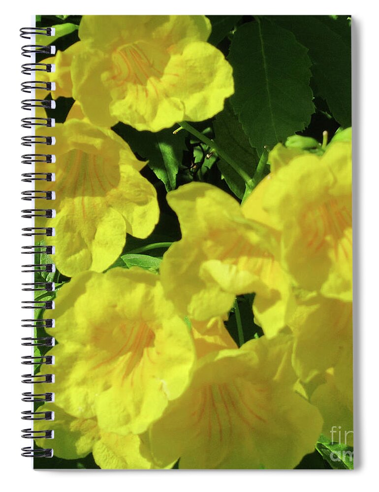 Yellow Spiral Notebook featuring the photograph Yellow Bells 1 by Randall Weidner