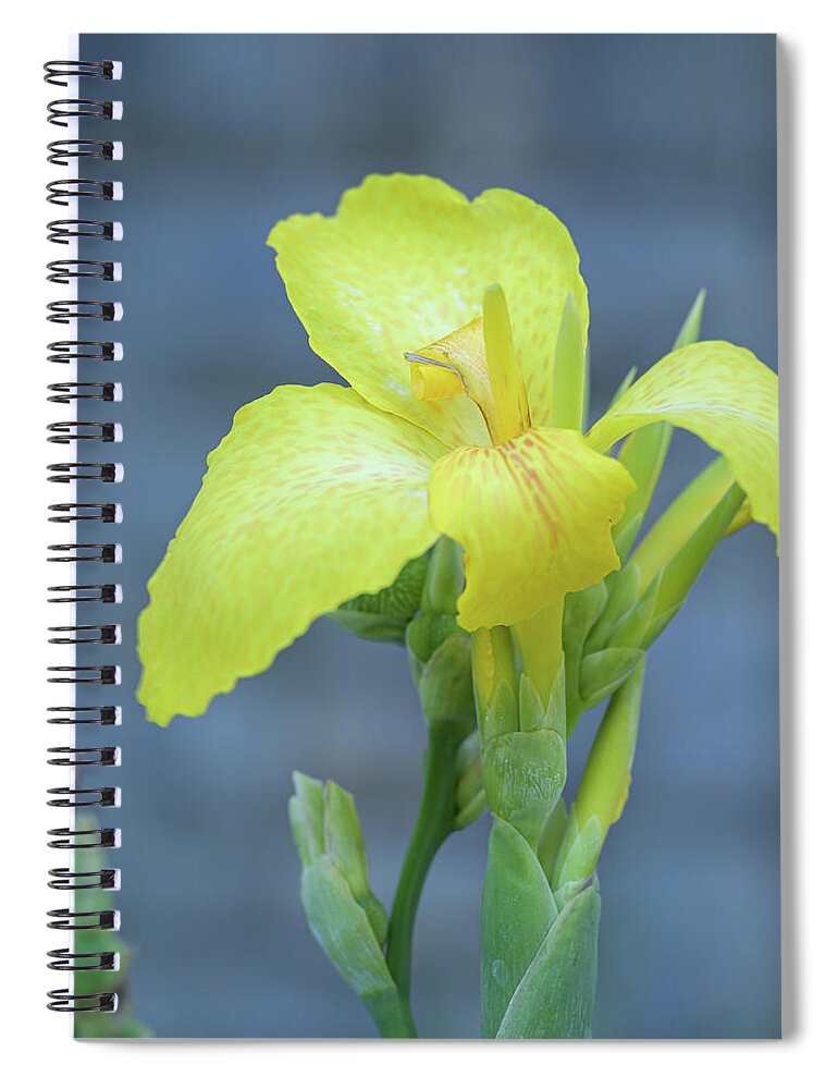 Flowers Spiral Notebook featuring the photograph Yellow Canna Lily by Frank Mari