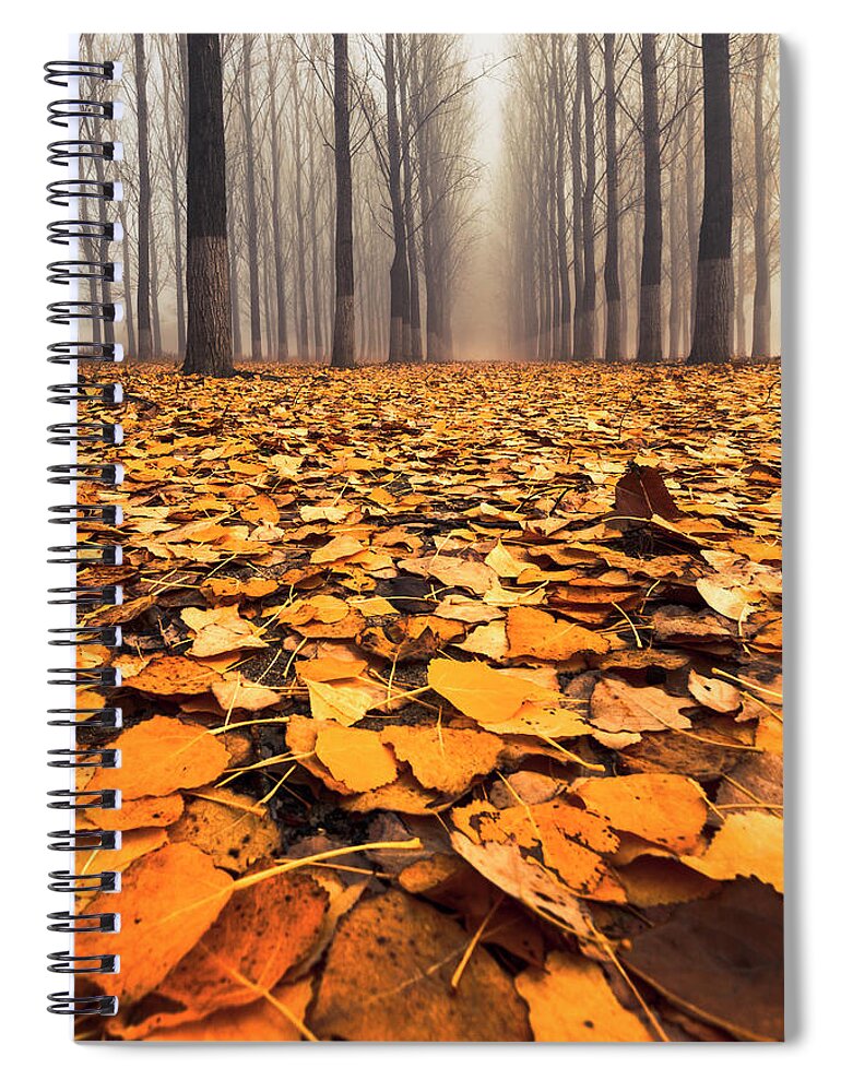 Bulgaria Spiral Notebook featuring the photograph Yellow Carpet by Evgeni Dinev