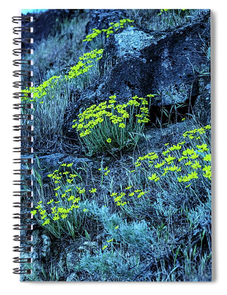 Flowers Spiral Notebook featuring the photograph Yellow flowers hillside by Jeff Swan