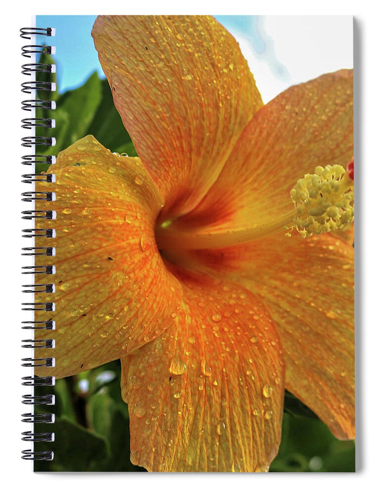 Flowers Spiral Notebook featuring the pyrography Yellow Hibiscus by Tony Spencer