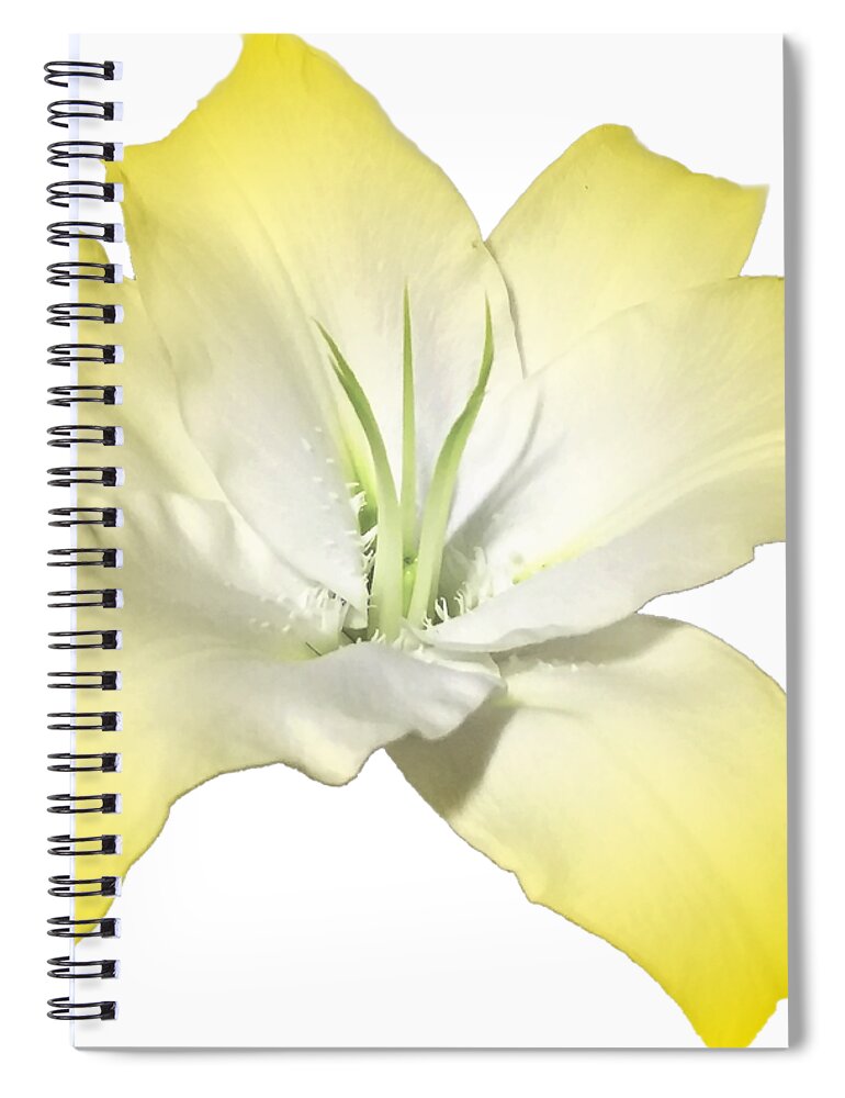 Yellow Spiral Notebook featuring the photograph Yellow Lily Flower Best for Shirts and Bags by Delynn Addams