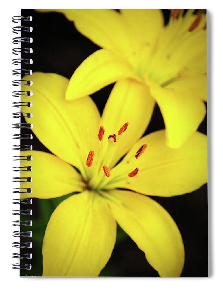 Lilies Spiral Notebook featuring the photograph Yellow Lily Flower by Christina Rollo