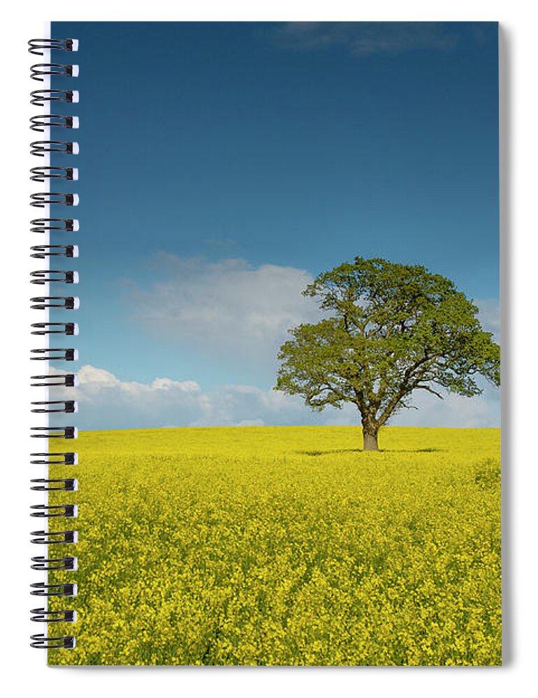 Landscape Spiral Notebook featuring the pyrography Yellow ocean 4 by Remigiusz MARCZAK
