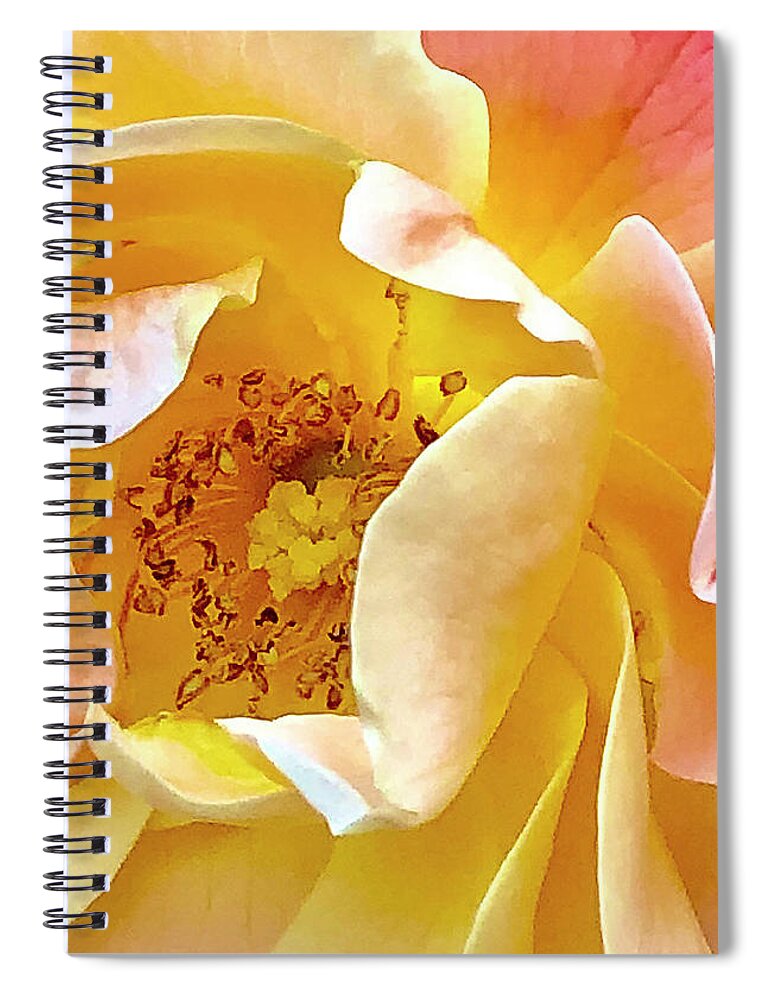 Rose Spiral Notebook featuring the digital art Yellow Rose Center by Nancy Olivia Hoffmann