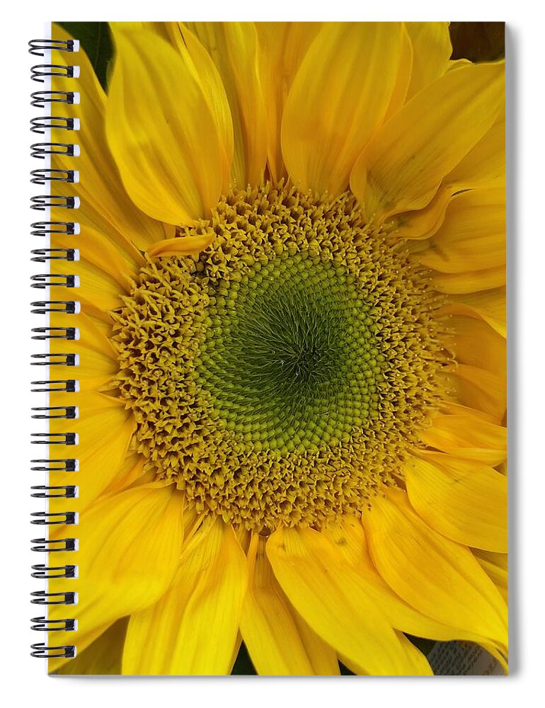 Sunflower Spiral Notebook featuring the photograph Yellow Sunflower by Lisa Pearlman