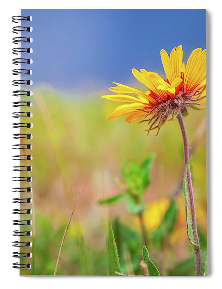 Yellow Spiral Notebook featuring the photograph Yellow Wildflower by Jeanette Fellows