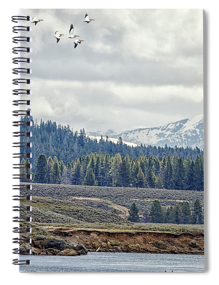 Pelican Spiral Notebook featuring the photograph Yellowstone Flight by Natural Focal Point Photography