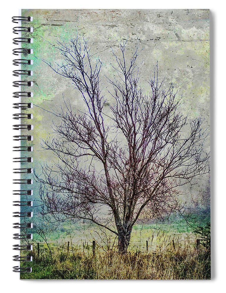 Tree Spiral Notebook featuring the photograph Yesteryear 2 by Roseanne Jones