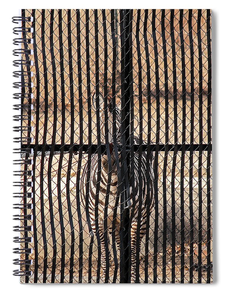 2017 Spiral Notebook featuring the photograph You Can't See Me by Gerri Bigler