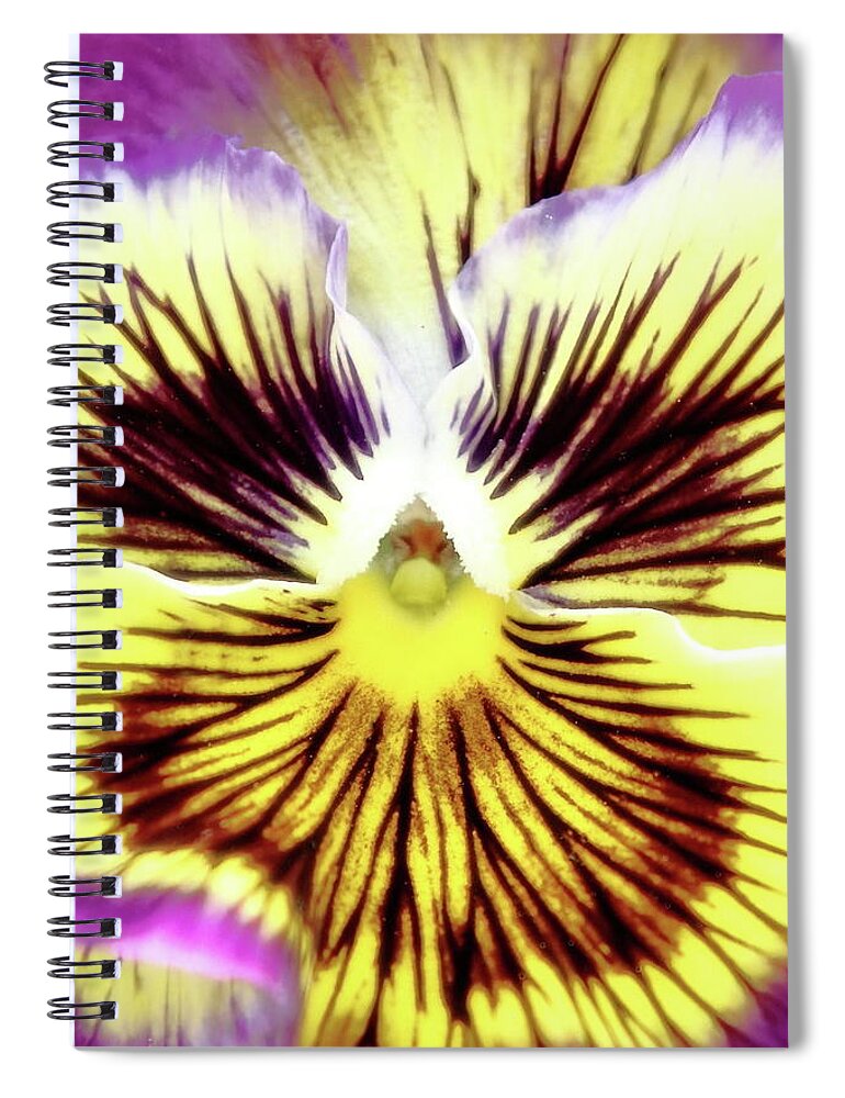 Floral Spiral Notebook featuring the photograph You Pansy by Lens Art Photography By Larry Trager