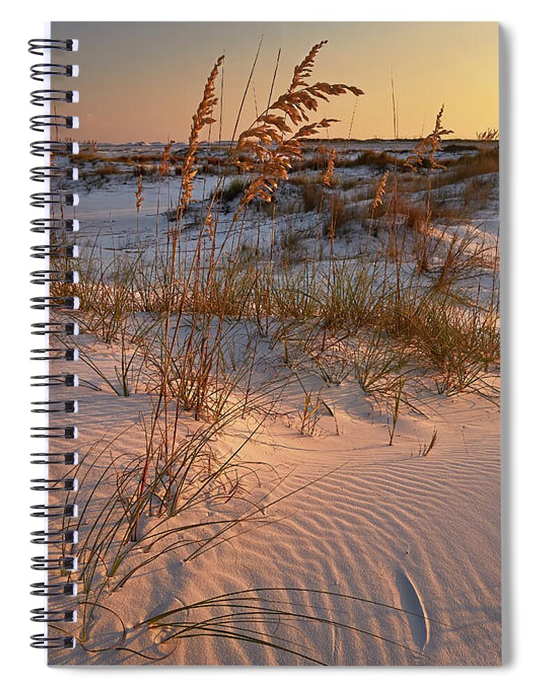 You're Golden Spiral Notebook featuring the photograph You're Golden by Bill Chambers