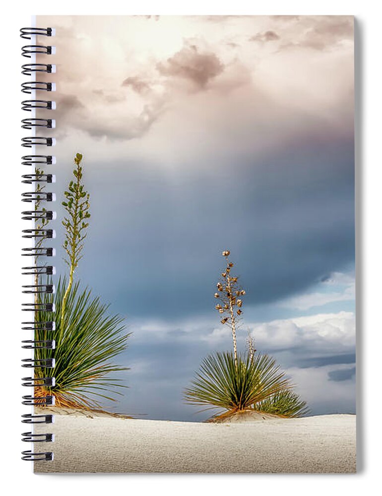 White Sands Spiral Notebook featuring the photograph Yucca Three by James Barber