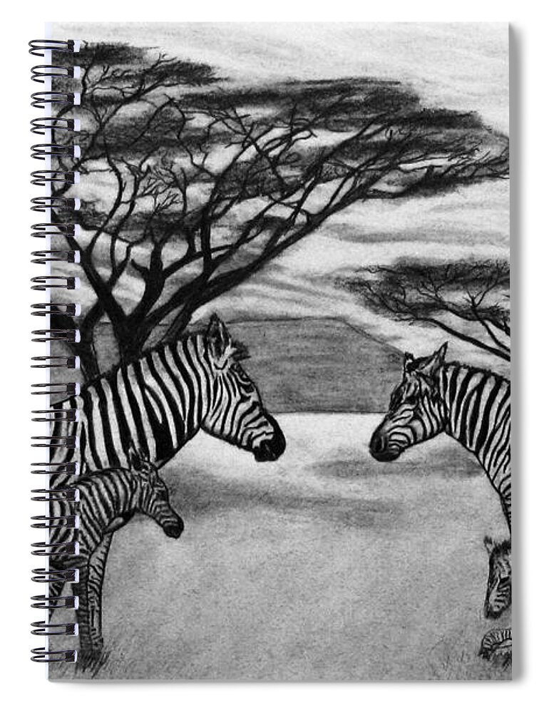 Zebra Outback Spiral Notebook featuring the drawing Zebra African Outback by Peter Piatt