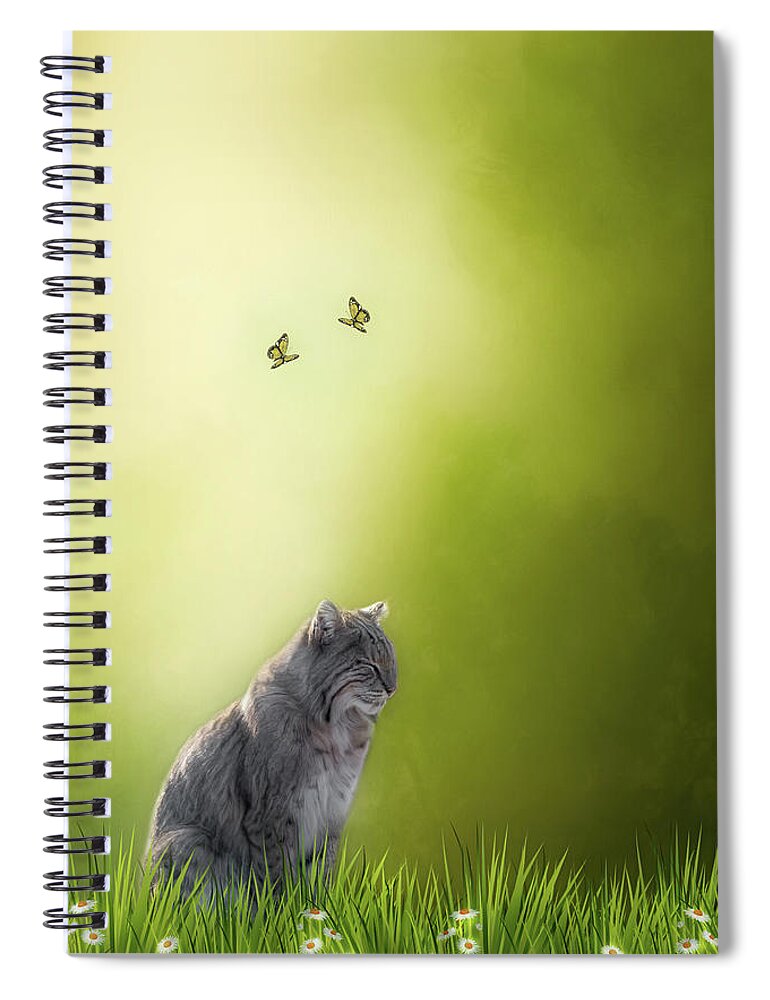 Bobcat Spiral Notebook featuring the photograph Zen Cat by Bill Wakeley