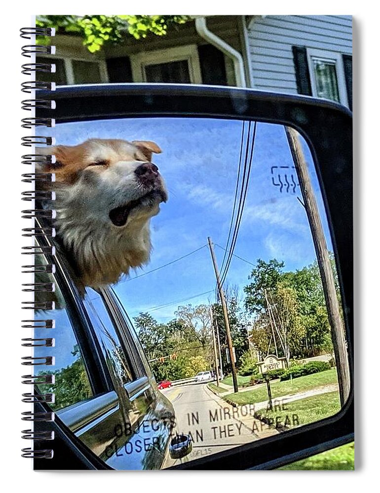  Spiral Notebook featuring the photograph Zen Doggo by Brad Nellis