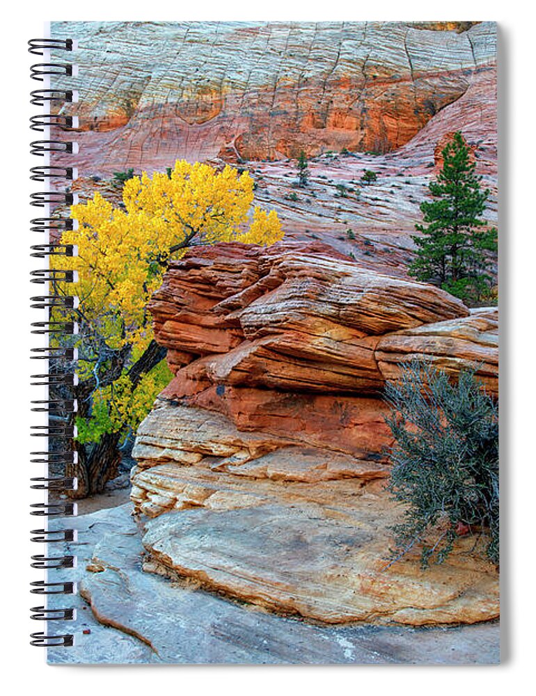 Merica Spiral Notebook featuring the photograph Zion Gold by Andy Crawford
