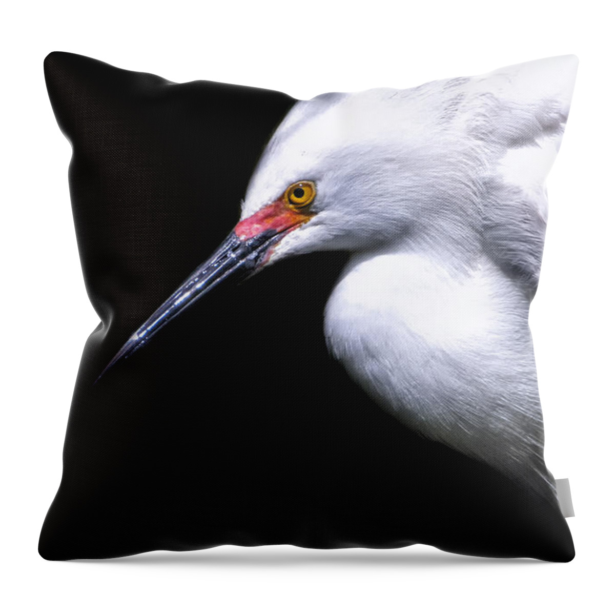 Crystal Yingling Throw Pillow featuring the photograph A Little Light by Ghostwinds Photography