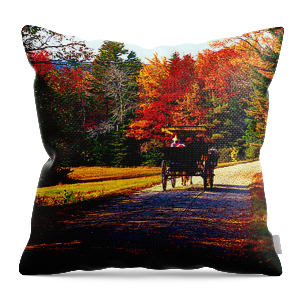  Acadia Throw Pillow featuring the photograph Acadia national park carriage trail fall by Tom Jelen