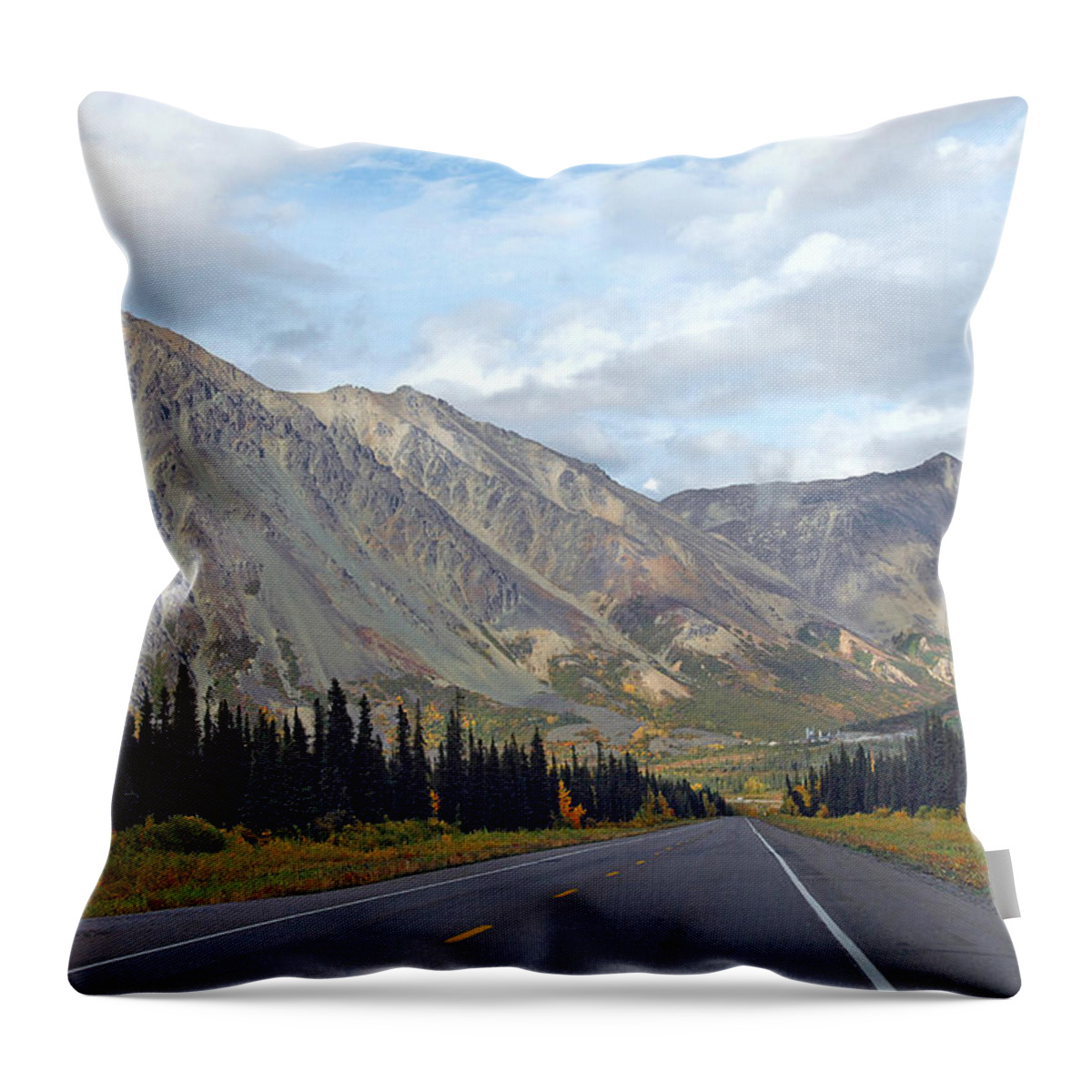 Alaska Throw Pillow featuring the photograph Along the Parks Highway by Dyle  Warren